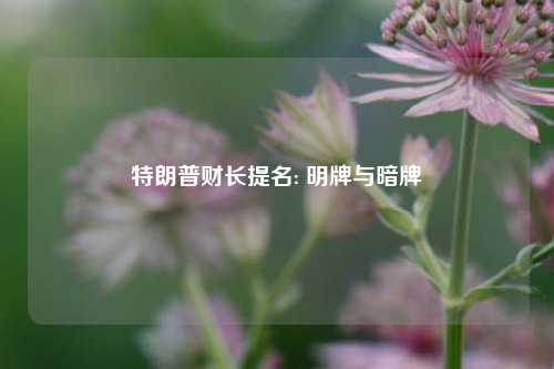 特朗普财长提名: 明牌与暗牌