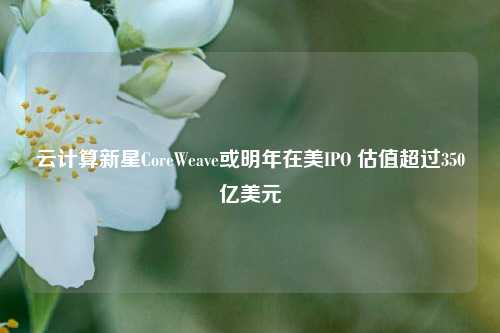 云计算新星CoreWeave或明年在美IPO 估值超过350亿美元