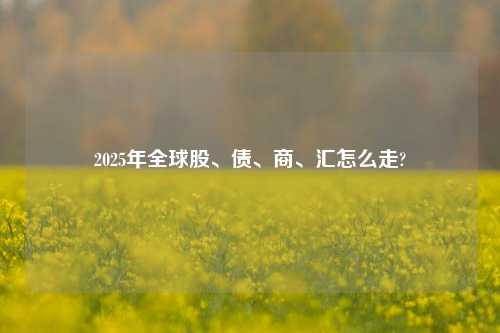 2025年全球股、债、商、汇怎么走?