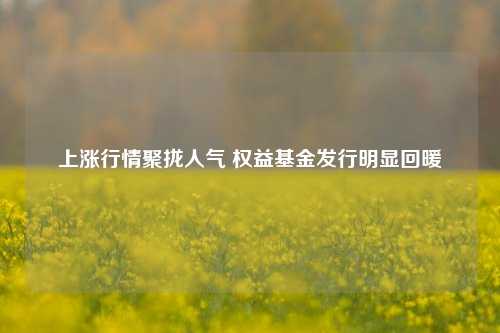 上涨行情聚拢人气 权益基金发行明显回暖