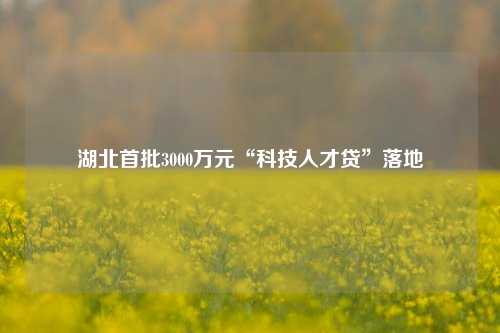 湖北首批3000万元“科技人才贷”落地