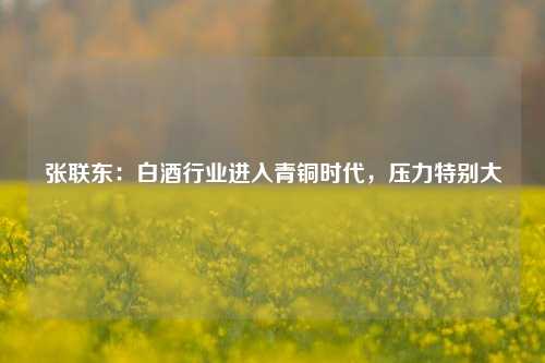 张联东：白酒行业进入青铜时代，压力特别大