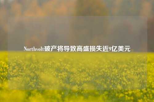 Northvolt破产将导致高盛损失近9亿美元