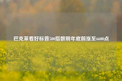 巴克莱看好标普500指数明年底前涨至6600点