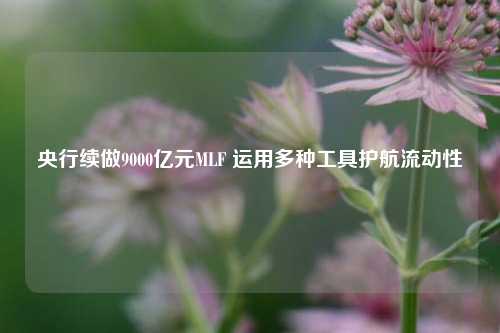 央行续做9000亿元MLF 运用多种工具护航流动性