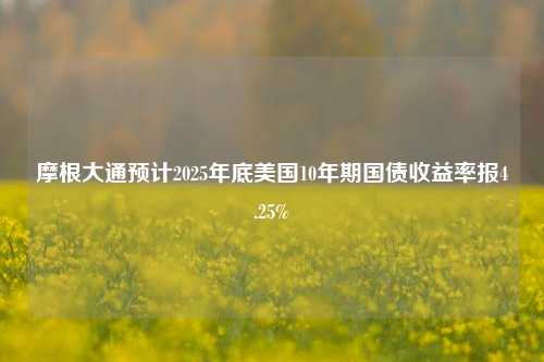 摩根大通预计2025年底美国10年期国债收益率报4.25%