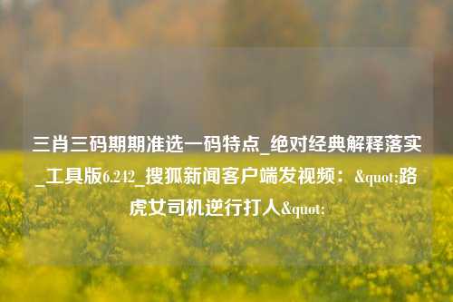 三肖三码期期准选一码特点_绝对经典解释落实_工具版6.242_搜狐新闻客户端发视频："路虎女司机逆行打人"