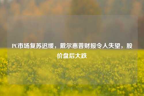 PC市场复苏迟缓，戴尔惠普财报令人失望，股价盘后大跌