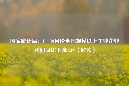 国家统计局：1—10月份全国规模以上工业企业利润同比下降4.3%（解读）