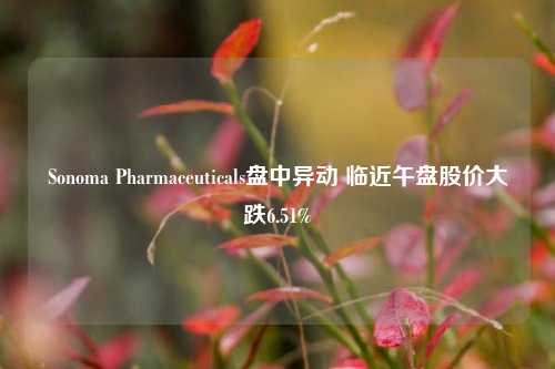 Sonoma Pharmaceuticals盘中异动 临近午盘股价大跌6.51%